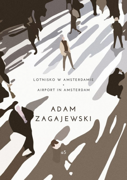 Lotnisko w Amsterdamie/ Airport in Amsterdam