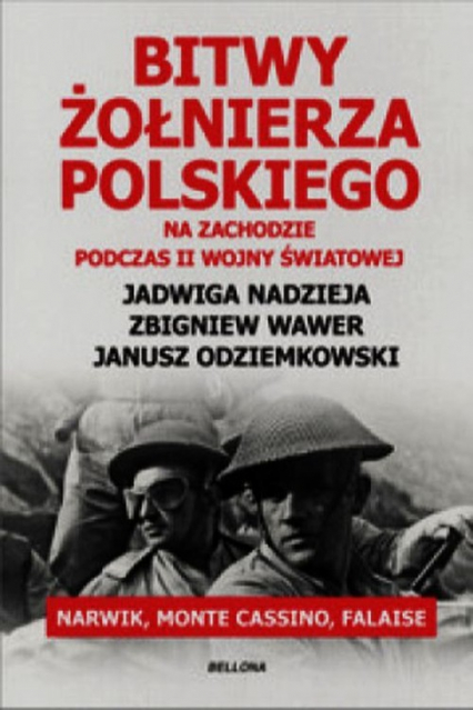 Bitwy żołnierza polskiego na Zachodzie podczas II wojny światowej. Narwik, Monte Cassino, Falaise
