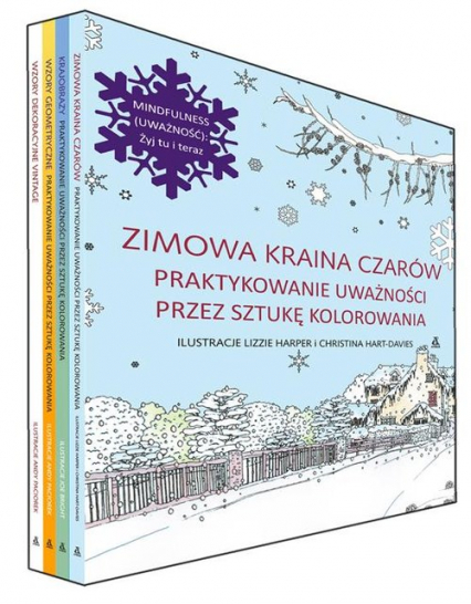 Zimowa kraina czarów / Krajobrazy / Wzory geometryczne /Wzory dekoracyjne vintage Pakiet