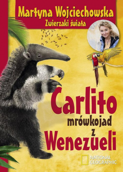 Carlito mrówkojad z Wenezueli