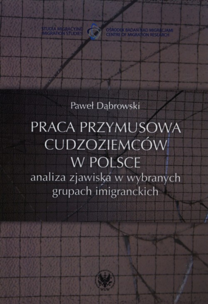 Praca przymusowa cudzoziemców w Polsce analiza zjawiska w wybranych grupach imigranckich