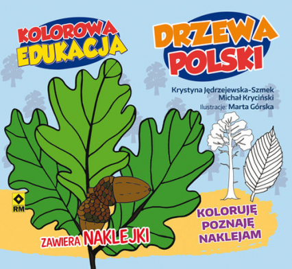 Kolorowa edukacja Drzewa Polski naklejki
