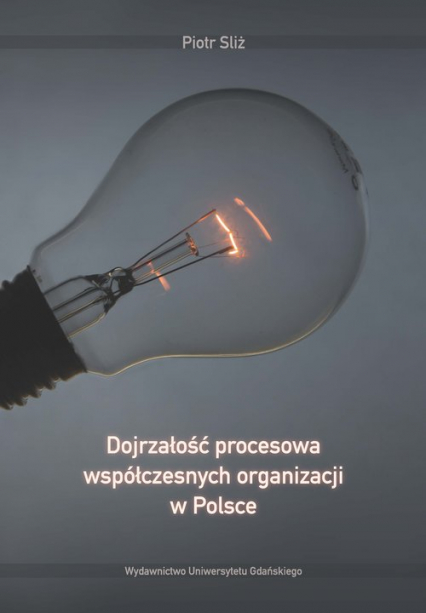 Dojrzałość procesowa współczesnych organizacji w Polsce