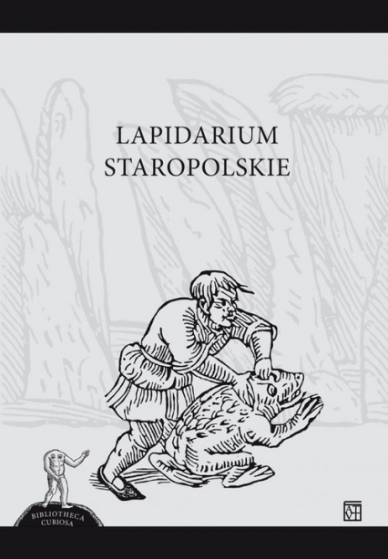 Lapidarium Staropolskie