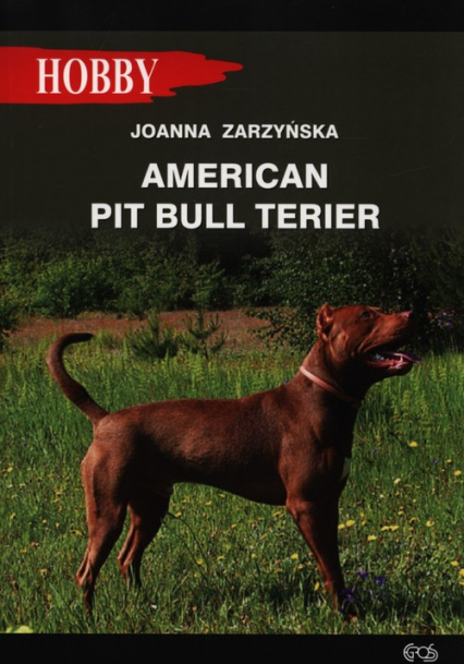 American pit bull terier