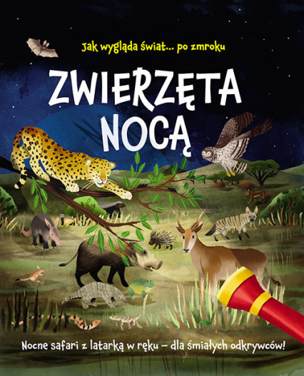 Jak wygląda świat... po zmroku Zwierzęta nocą Nocne safari z latarką w ręku - dla śmiałych odkrywców!