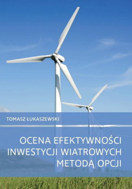 Ocena efektywności inwestycji wiatrowych metodą opcji