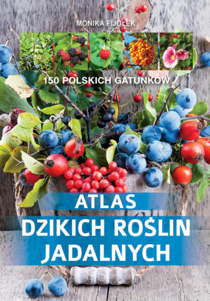 Atlas dzikich roślin jadalnych 150 polskich gatunków