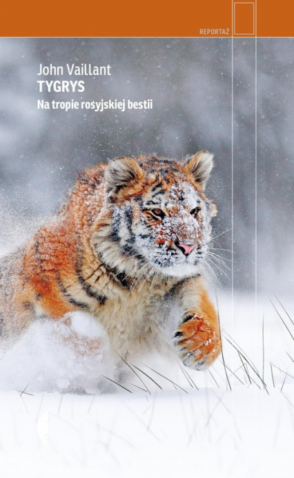 Tygrys Na tropie rosyjskiej bestii