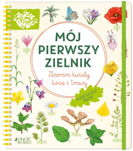 Mój pierwszy zielnik. Zbieram kwiaty, liście i trawy
