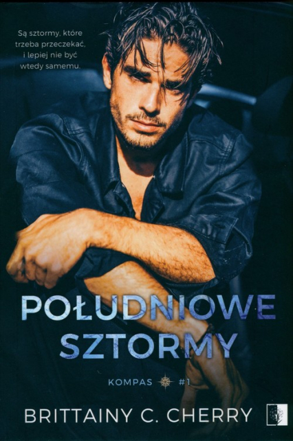 Południowe sztormy